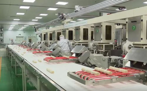 直擊復(fù)工首日 山東16市企業(yè)齊頭并進(jìn) 家用紡織制成品制造大項(xiàng)目引領(lǐng)春潮